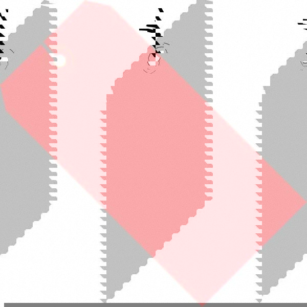 Blank Tag: 5-1/4'' High, Pink, Synthetic Paper